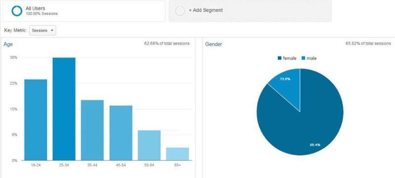 A breakdown of your site's audience.