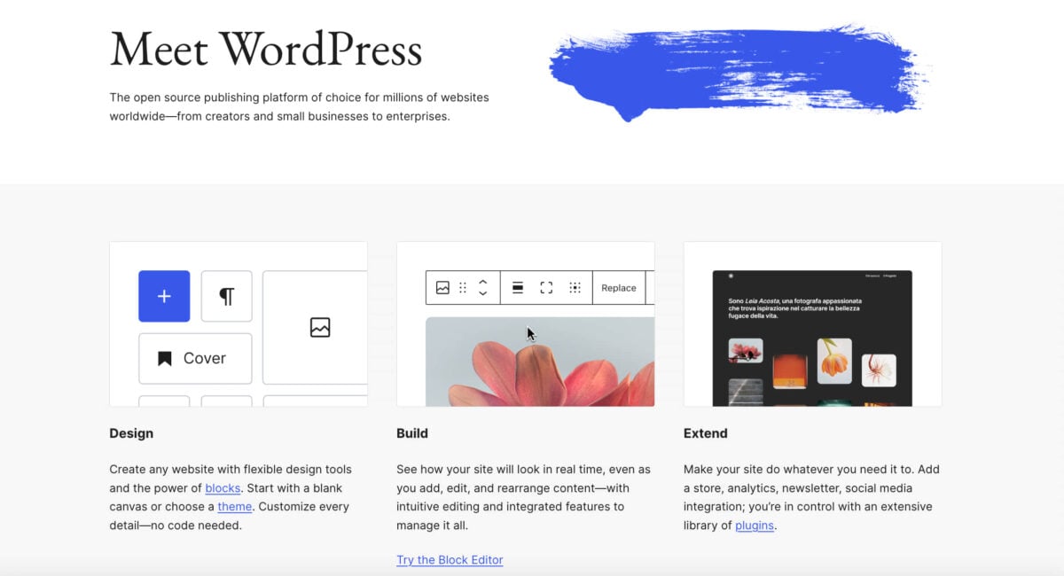 WordPress Homepage