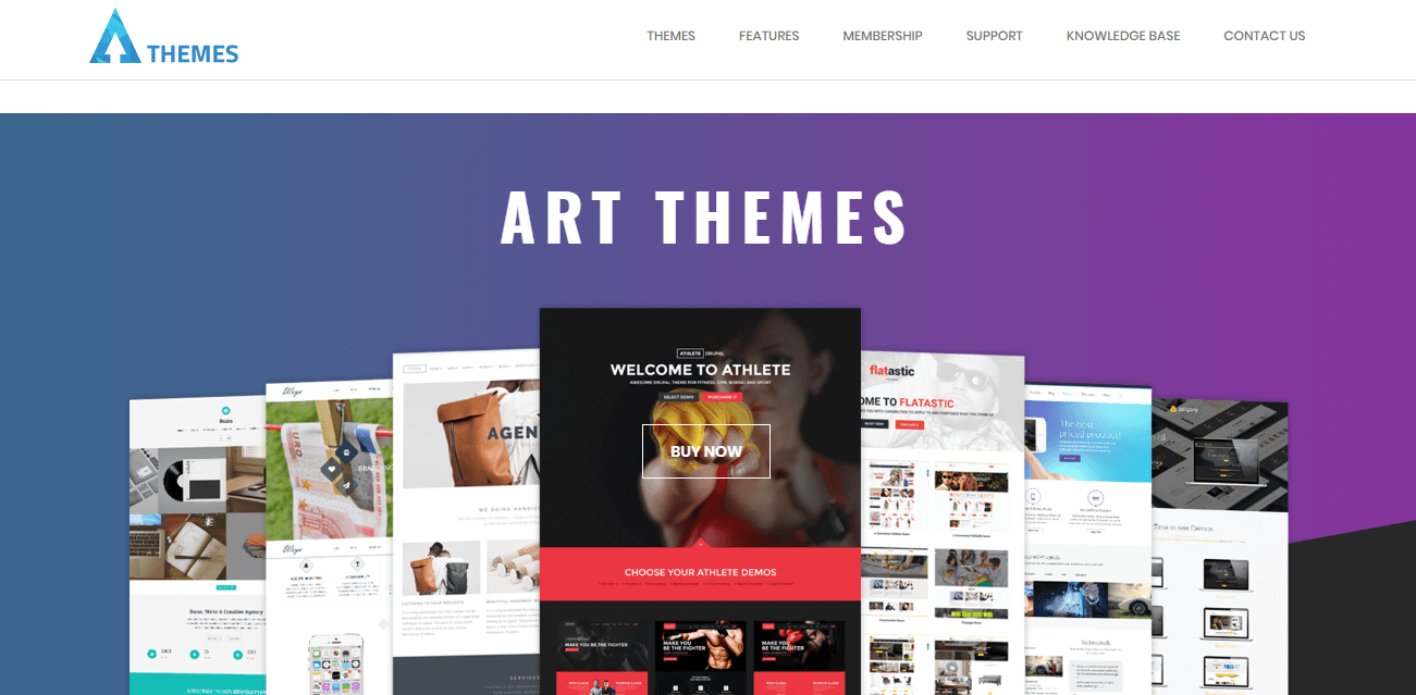 The ArrowThemes website.