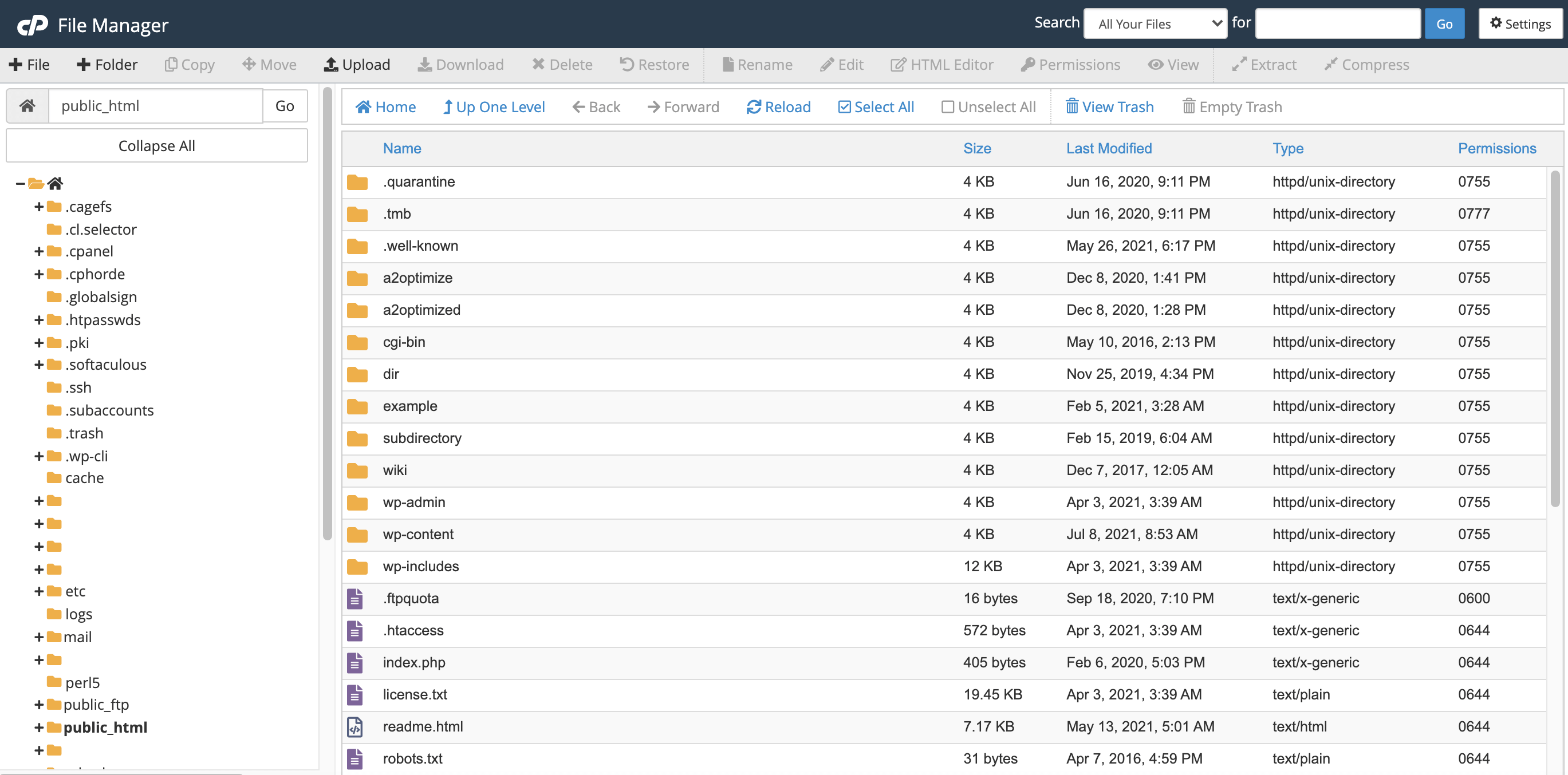 A2 Hosting's File Manager tool.