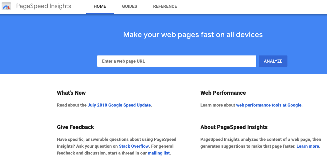 The PageSpeed Insights website.