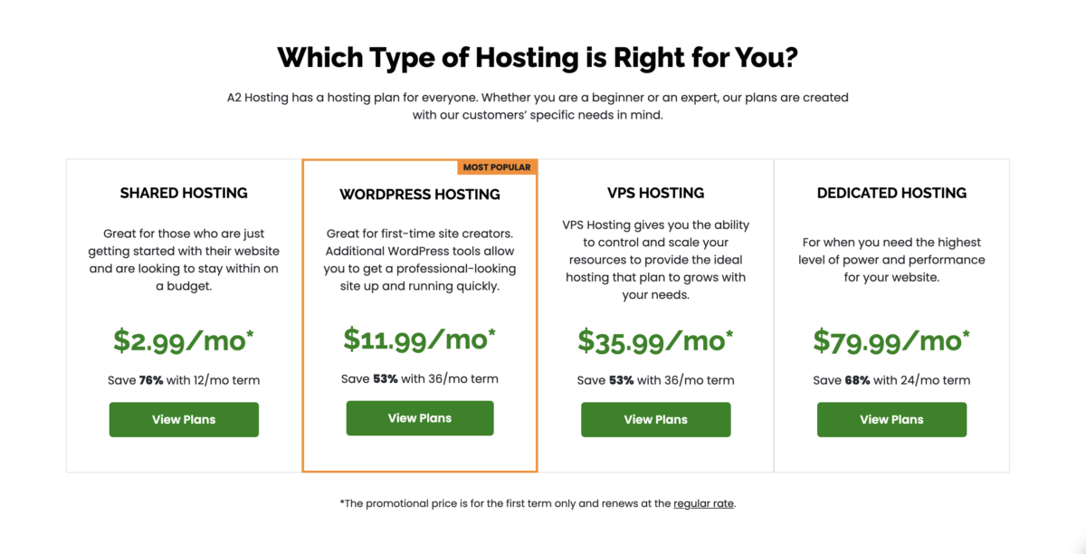 Table outlining hosting plan options.