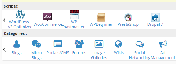 Installing WordPress using cPanel.