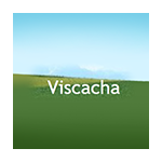 Viscacha